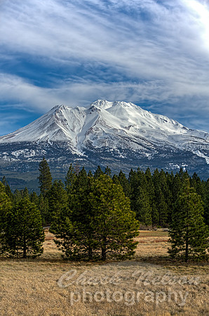 #598 - MT SHASTA HDR TD (1:1.5)