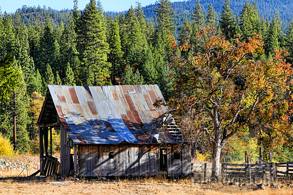 #210 - SCOTT VALLEY BARN #2-T (1:1.5)