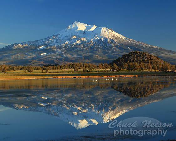 #76D - MT SHASTA REFLECTED #3 (1:1.25)