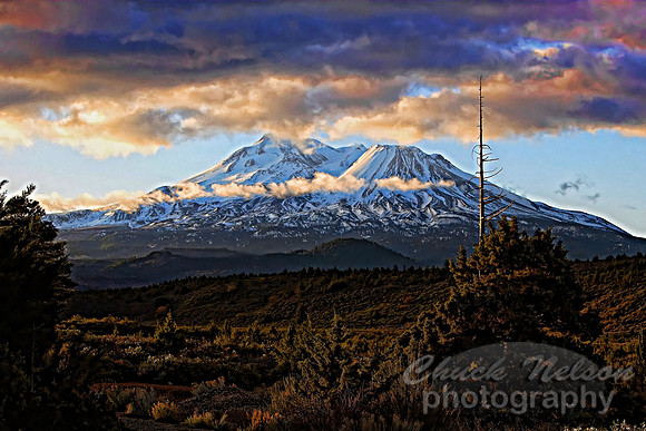 #199 - MT SHASTA AND SNAG #3-T (1:1.5)