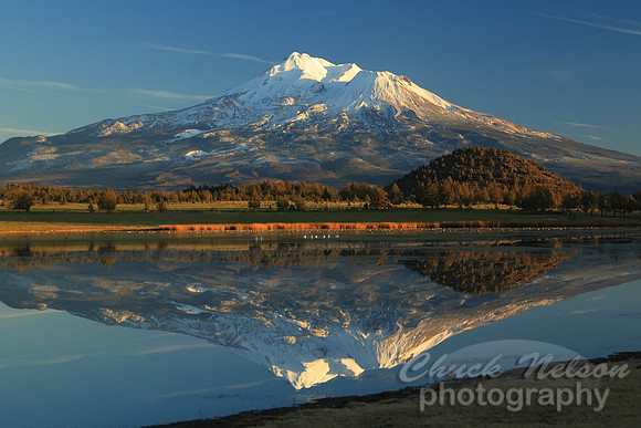 #79 - mt shasta reflected #5 (1:1.5)
