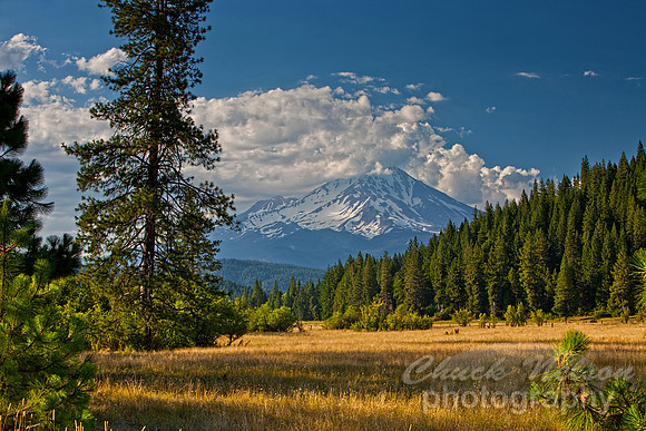 #450 - MOUNT SHASTA NEAR McCLOUD #16 TD (1:1.5)