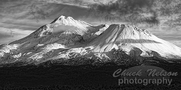 #558D - MOUNT SHASTA BLACK AND WHITE TDBW (1:2)