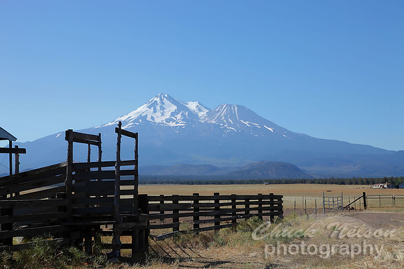 #272 - CORRAL AND MT SHASTA #3 TC (1:1.5)