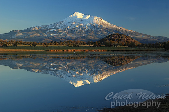 #80 - MT SHASTA REFLECTED #6 (1:1.5)