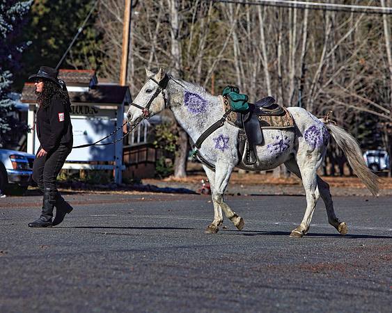 img_2298_11-28-09 TA 8X10