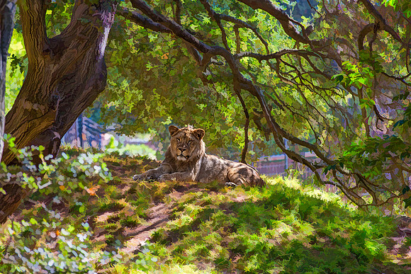 #589A - REGAL LION TDAS (1:1.5)
