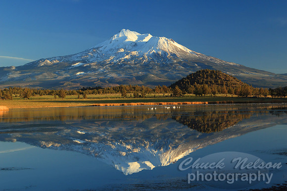 #76 - MT SHASTA REFLECTED #3 (1:1.5)