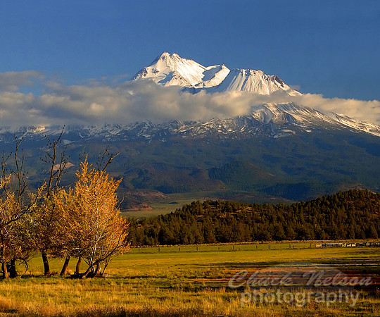 #66D - FALL COLORS IN SHASTA VALLEY (1:1.25 gallery wrap)