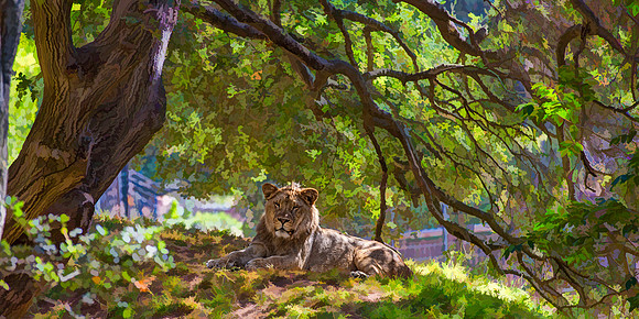 #589D - REGAL LION TDAS (1:2)
