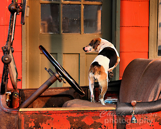 148B - 1915 DODGE AND DOG (1:1.25)