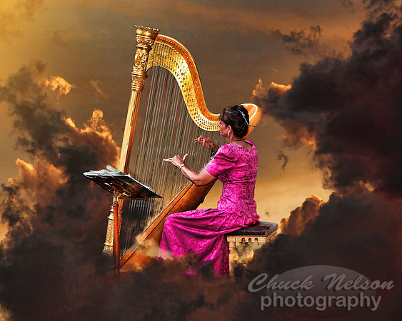 #297A - HARPIST #6 TA TC (1:1.25)jpg
