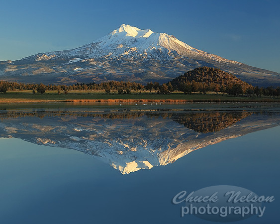 #80A - MT SHASTA REFLECTED #6 (1:1.25)
