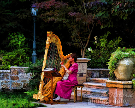 #294 - HARPIST #3 TA TC TS (1:1.25).jpg