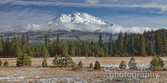 #310C - MT SHASTA ACROSS A FIELD OF SNOW (1:2).jpg