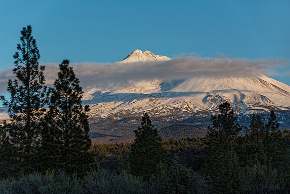 #560A - MT SHASTA TD (1:1.5)