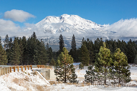 #523 - MT SHASTA WITH FRESH SNOW TD (1:1.5)