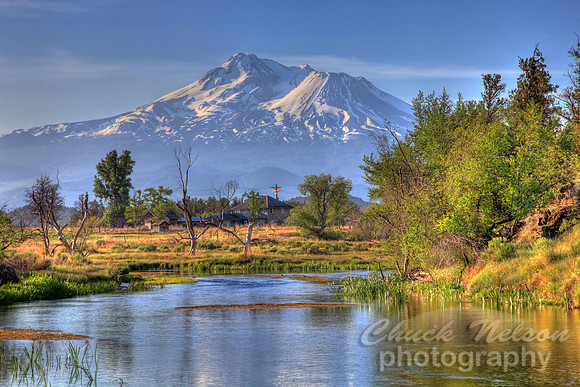 #236 - WHERE BIG SPRINGS ENTERS THE SHASTA HDR TA (1:1.5)