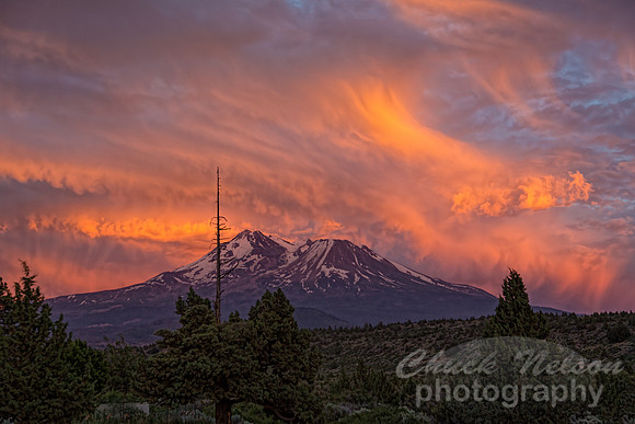 #561A - MT  SHASTA SUNSET TDA (1:1.5)