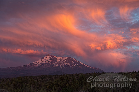 #562A - MT SHASTA SUNSET TD (1:1.5)