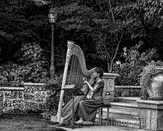 #296 - HARPIST #5 TA TC TD (1:1.25).jpg