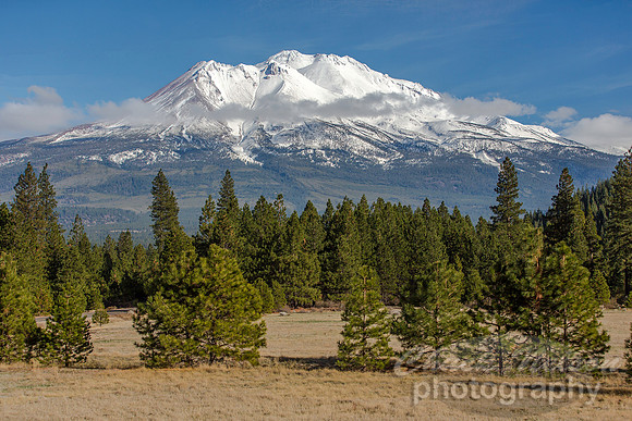 #503A - MT SHASTA (1:1.5)