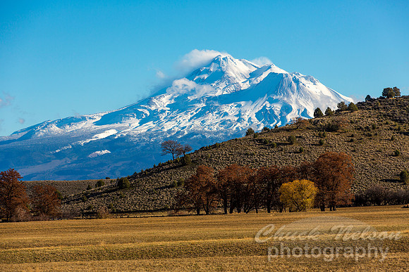 #505A - SHASTA VIEW (1:1.5)