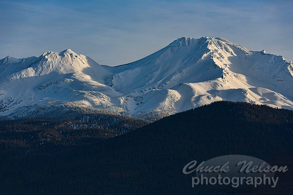#507 - MT SHASTA TA (1:1.5)