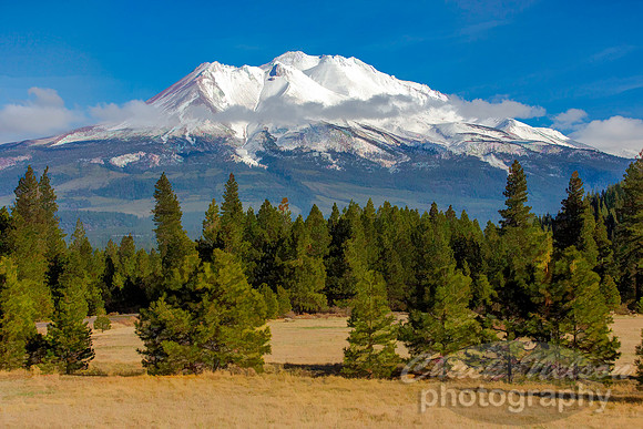 #503B - MT SHASTA TS (1:1.5)
