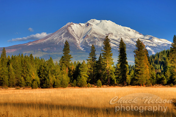 #510 - MT SHASTA HDR TS (1:1.5)