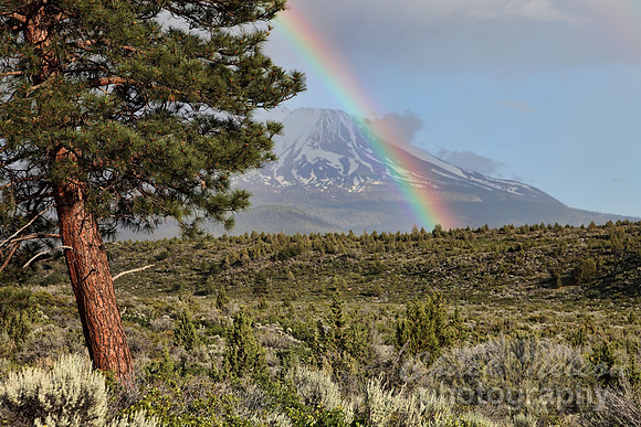 #264 - RAINBOW #5 TA (1:1.5)