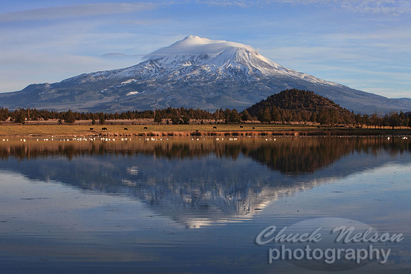#326A - MOUNT SHASTA REFLECTED #23 TA (1:1.5).jpg