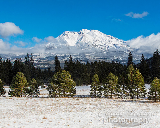 #522B - MT SHASTA WITH FRESH SNOW TD (1:1.5)