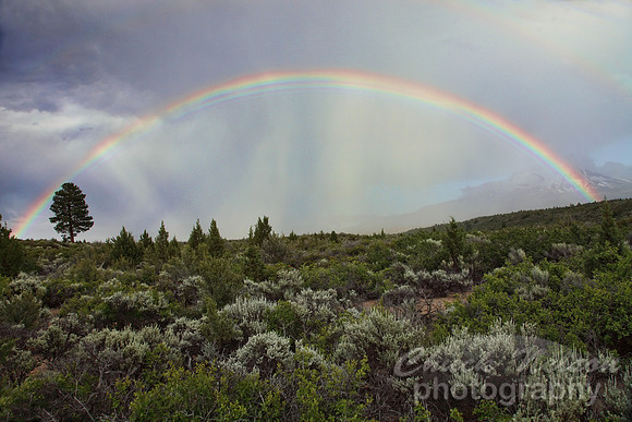 #260 - RAINBOW #1 TA (1:1.5)