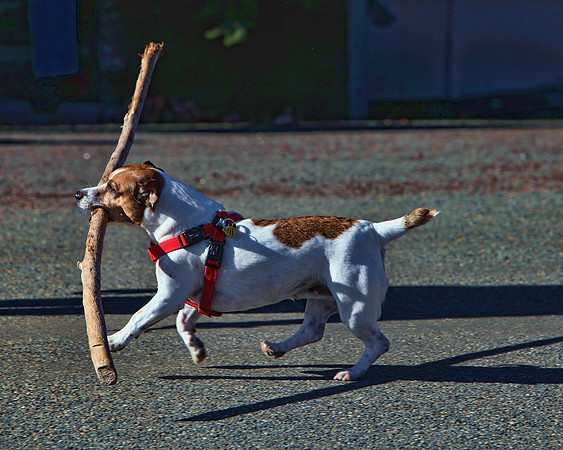 img_2248_11-28-09 TA 8X10