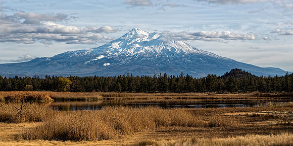 #573B - MT SHASTA WITH LAKE TDC (1:2)