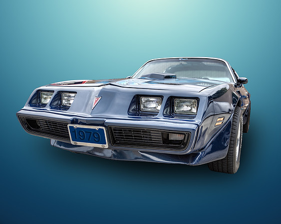 #486B - 1973 PONTIAC FIREBIRD TRANS AM HDR TA-D (8X10)