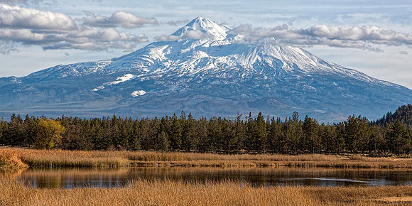 #574B - MT SHASTA WITH LAKE TDAC (1:2)
