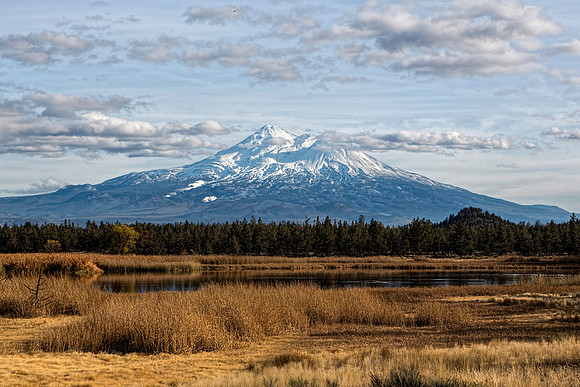 #573A -  MT SHASTA WITH LAKE TDC (1:1.5)