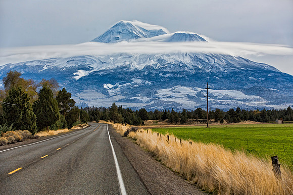 #568B - MT SHASTA - PAINTERLY TDAS (1:1.5)