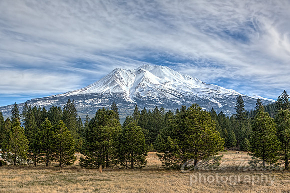 #602 - MT SHASTA HDR TDA (1:1.5)