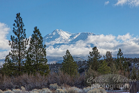 #528 - MT SHASTA WITH SNOW TD-A (1:1.5)