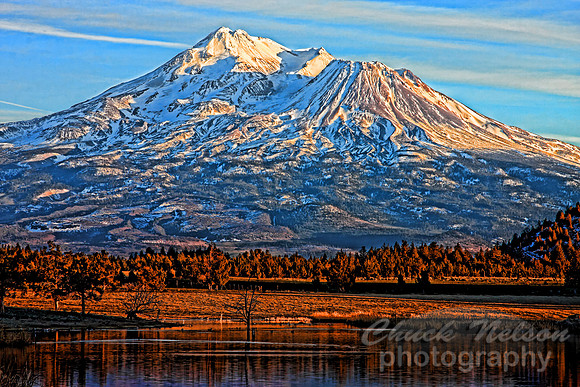 #203A - MT SHASTA IN LATE AFTERNOON SUN-T (1:1.5)