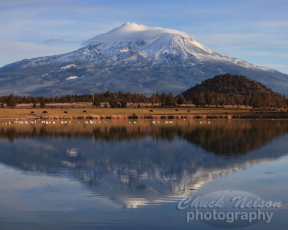 #326B - MOUNT SHASTA REFLECTED #23 TA TC (1:1.25).jpg