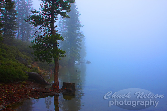 #138 - MISTY KANGAROO LAKE #2 (1:1.5)