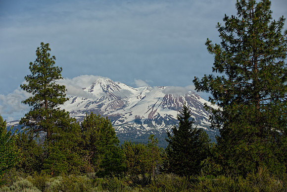 1E3A5026 MT SHASTA FROM HOY PARK - Copy