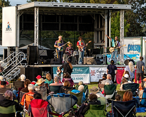 1E3A5101 THE DEADY BEARS BAND - HOY PARK 2