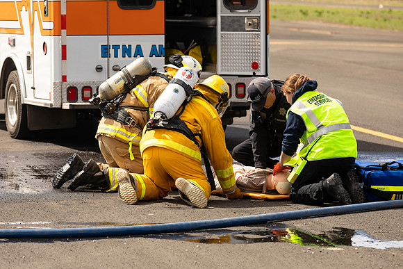 PREPARING FOR TRANSPORT E75A2302
