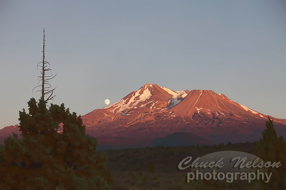 #287 - MOON OVER THE MOUNTAIN #4 TA TC (1:1.5)