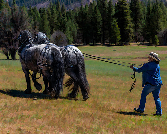 E75A2378. TSjpg